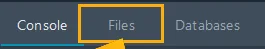 Files tab highlighted in the Wake Servers game panel navigation